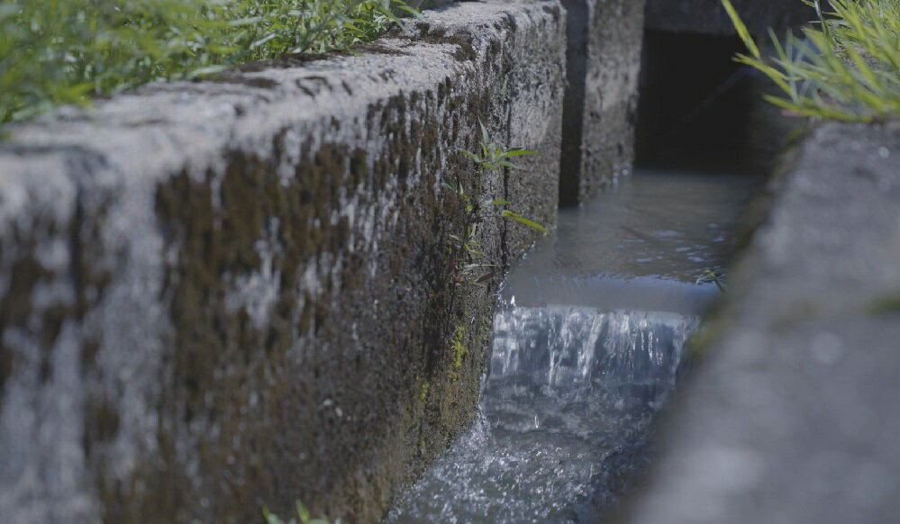 【ふるさと納税】【令和7年産】上市町産コシヒカリ「剱米」（白米）2kg　 [ソムリエH 富山県 上市町 32280236-r6-01] 　お米 コメ ご飯 ごはん こしひかり 富山県産 - 画像3