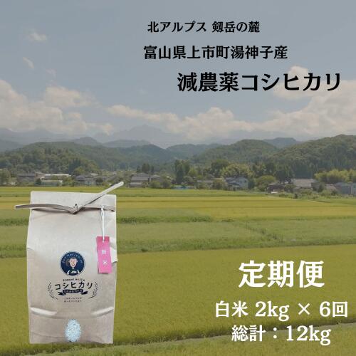 【毎月1回お届け】【定期便】【令和7年産】減農薬 上市町湯神子産コシヒカリ（白米）2kg x 6回 計12kg　 [ソムリエH 富山県 上市町 32280252-r6-01】 米 6ヶ月 6回定期便 定期購入 お米 コメ ご飯 ごはん 白米ご飯 白米ごはん こしひかり 富山県産
