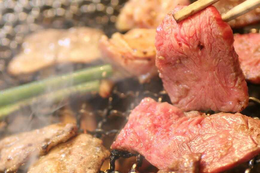 【ふるさと納税】焼肉 食事券 3,000円分 / 焼肉レストランからしし / 富山県 上市町 [32280055] 商品券 ランチ テイクアウト 炭火焼き 七輪 3000 サムネイル3