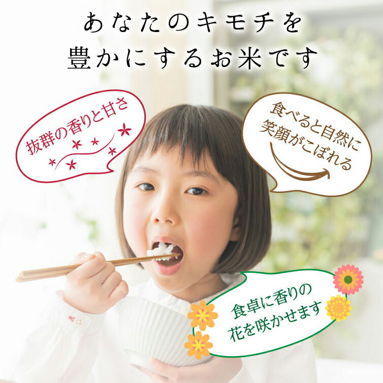 【ふるさと納税】特別栽培米 コシヒカリ ヒロシノキモチ 無洗米 10kg ブランド米 銘柄米 国産 米 お米 日本米 ギフト 贈り物 備蓄 防災 食品 陽咲玲 はるざれ F6T-920 - 画像2