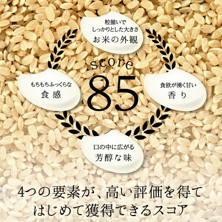 【ふるさと納税】特別栽培米 コシヒカリ ヒロシノキモチ 無洗米 10kg ブランド米 銘柄米 国産 米 お米 日本米 ギフト 贈り物 備蓄 防災 食品 陽咲玲 はるざれ F6T-920 - 画像3