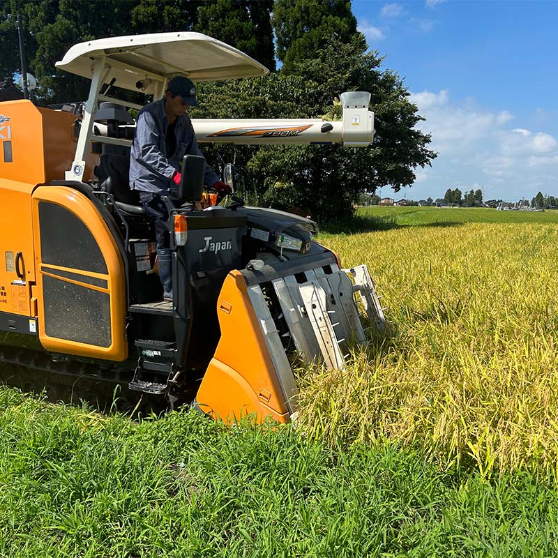 【ふるさと納税】＼選べる容量／《数量限定》令和7年度産 富富富 玄米 10kg / 20kg 米 お米 新米 ごはん おにぎり 富山 立山 北アルプス 健康志向 JGAP認定 F6T-847var - 画像3
