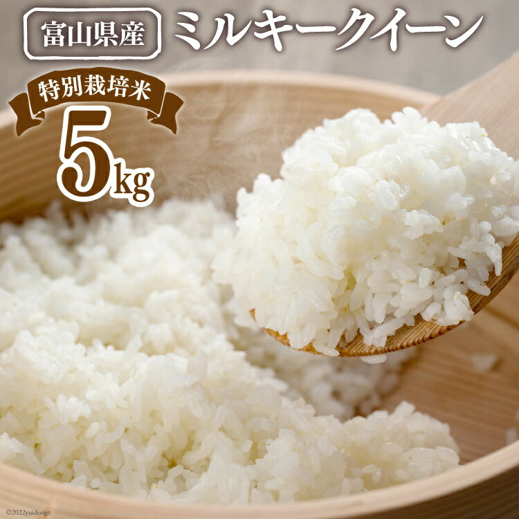 【期間限定発送】 米 令和7年 特別栽培米 ミルキークイーン 精米 5kg [マッキーファーム 富山県 朝日町 34310560] お米 白米 美味しい 農家 直送
