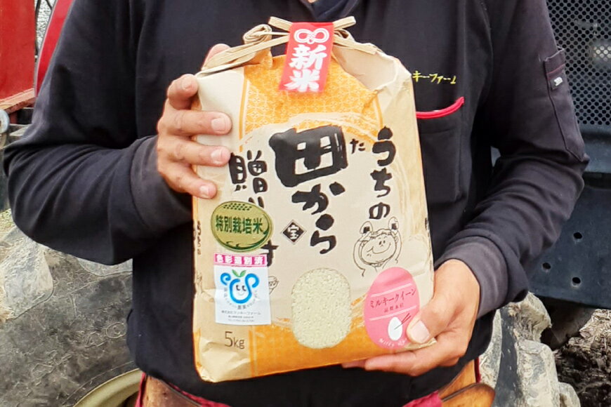 【ふるさと納税】 【期間限定発送】 3回 定期便 米 令和7年 特別栽培米 ミルキークイーン 精米 5kg ×3回 計 15kg [マッキーファーム 富山県 朝日町 34310561] お米 白米 美味しい 農家 直送 - 画像2