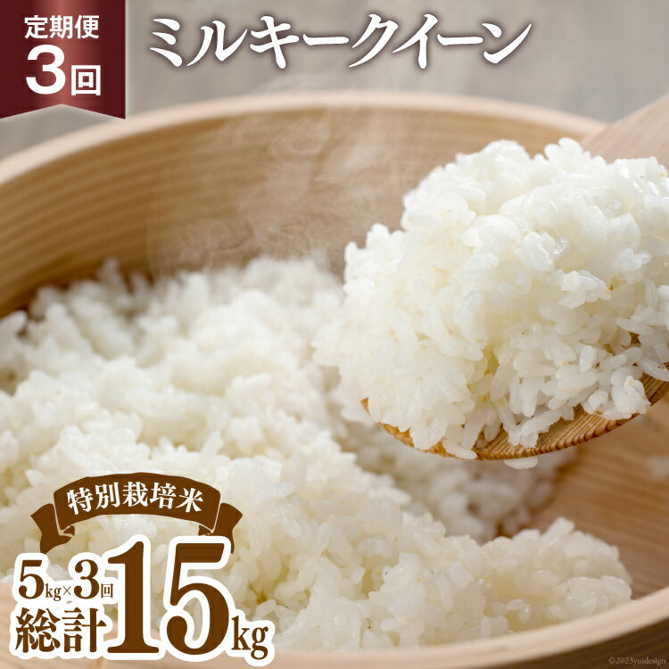 【期間限定発送】 3回 定期便 米 令和7年 特別栽培米 ミルキークイーン 精米 5kg ×3回 計 15kg [マッキーファーム 富山県 朝日町 34310561] お米 白米 美味しい 農家 直送