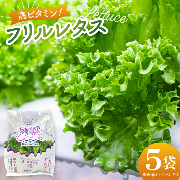 高ビタミン フリルレタス 100g 5袋 計500g [PBS 富山県 朝日町 34310474] 水耕栽培 レタス