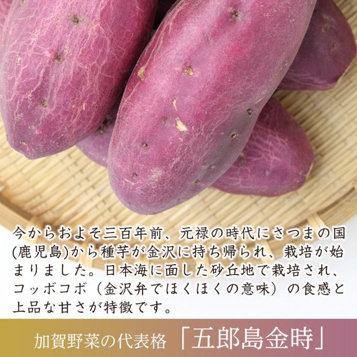 【ふるさと納税】JA金沢市 さつまいも 5kg 五郎島金時 秀品 加賀野菜 | 石川 金沢 加賀百万石 北陸 北陸復興 北陸支援 五郎島金時 秀品 加賀野菜 芋 いも 焼き芋 人気 おすすめ サツマイモ 石川 金沢 国産 リピート 送料無料 産地直送 サムネイル2