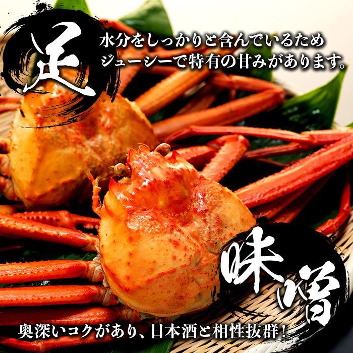 【ふるさと納税】2026年1月発送【先行予約】 紅ズワイガニ ボイル 選べる5種 ( 2-3杯 3-4杯 3-5杯 大サイズあり ) 金沢港 直送 カニ | 金沢市 ボイル加工 北陸沖水揚げ 蟹 カニ ズワイガニ 人気 おすすめ 海鮮 魚介類 食品 グルメ 贈答品 石川県産 北陸産 旬の味覚 サムネイル3