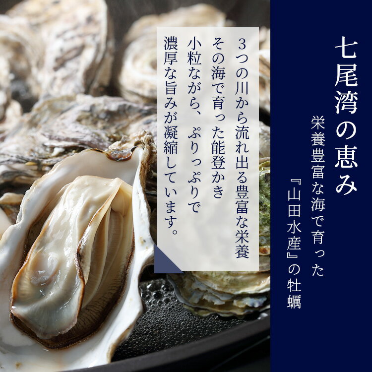 【ふるさと納税】【能登半島地震復興支援】【発送時期が選べる】能登かき むき身 800g～850g（箱入り）◇ 石川県 世界農業遺産「能登の里山里海」からお届け｜ 加熱用 カキフライ 牡蠣鍋 能登 カキ 牡蠣 養殖 海鮮 魚介類 冷蔵 石川県七尾市 復興 復興支援 サムネイル2