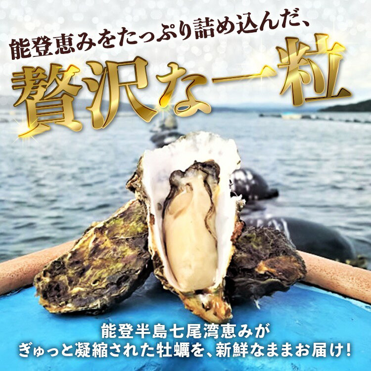 【ふるさと納税】【能登半島地震復興支援】＼選べる内容量／魚介類 牡蠣／能登かき 殻付牡蠣 専用ナイフ 片手用軍手付｜世界農業遺産「能登の里山里海」 石川県 七尾市 能登 ※要加熱 ※離島への配送不可 サムネイル3