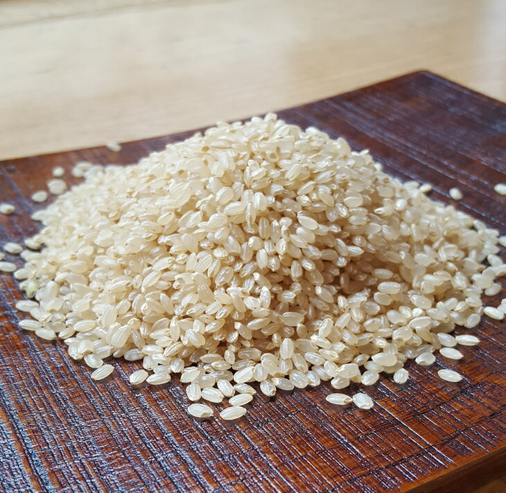 【ふるさと納税】【能登半島地震復興支援】米 玄米 20kg/七尾産コシヒカリ　玄米20kg（10Kg×2袋） | お米 ブランド米 銘柄米 訳あり 生活応援価格 ご家庭用 能登 石川県 七尾市 - 画像2