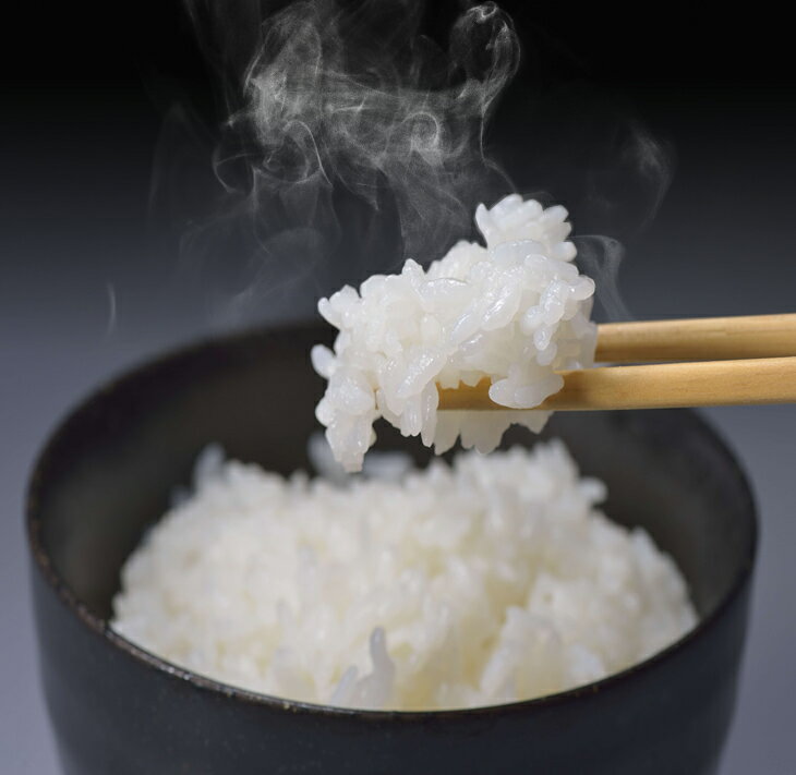 【ふるさと納税】＼1ヵ月以内発送／令和7年産米 七尾産こしひかり10kg(5kg×2)｜お米 R7年産米 すぐ届く ブランド米 銘柄米 精米 白米 健康 訳あり 生活応援価格 ご家庭用 コシヒカリ 5kg 5キロ 10kg 10キロ 能登半島地震 復興支援 能登 石川県 七尾市 - 画像2