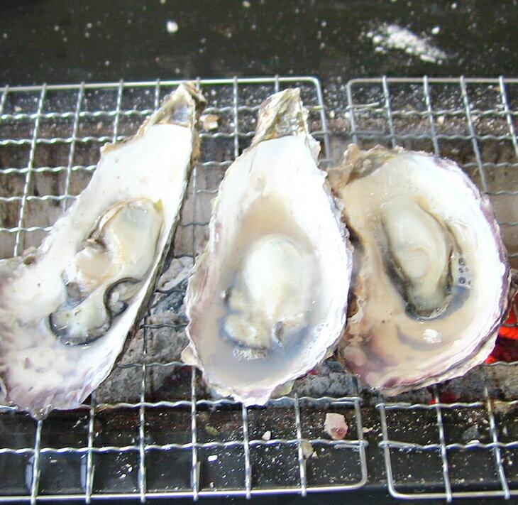 【ふるさと納税】【能登半島地震復興支援】魚介類 牡蠣 能登かき殻付き・加熱用・半斗缶［約40～50個］ ｜牡蠣 カンカン焼き カキ かき 加熱用 カキフライ 海鮮 魚介 国産 石川県 七尾市 能登 復興 サムネイル2