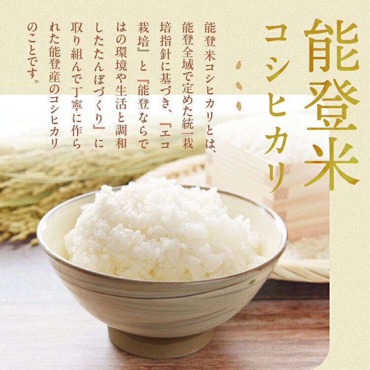 【ふるさと納税】【能登半島地震復興支援】【発送時期が選べる】令和7年産 コシヒカリ 能登米 10kg(5kg×2袋) ｜白米 精米 こしひかり 米 こめ コメ お米 国産 訳あり 生活応援価格 ご家庭用 石川県 七尾市 能登 - 画像3