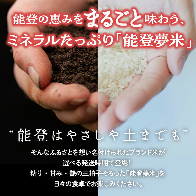 【ふるさと納税】【能登半島地震復興支援】【発送時期が選べる】令和7年度産米 能登産 にじのきらめき 精米 10kg（5kg×2袋）｜お米 予約 早期予約 R7年米 ブランド米 銘柄米 白米 訳あり 生活応援価格 ご家庭用 5kg以上 10kg 冷蔵保存 能登 石川県 七尾市 - 画像3