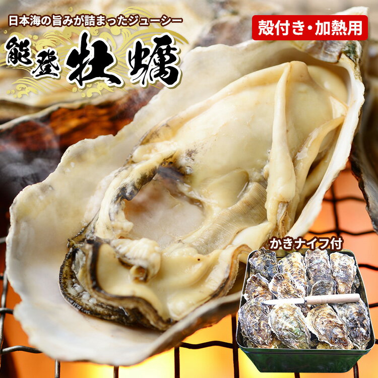 【能登半島地震復興支援】魚介類 牡蠣 能登かき殻付き・加熱用・半斗缶［約40～50個］ ｜牡蠣 カンカン焼き カキ かき 加熱用 カキフライ 海鮮 魚介 国産 石川県 七尾市 能登 復興