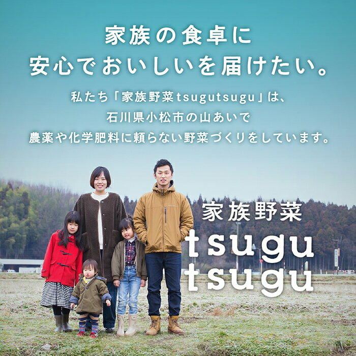 【ふるさと納税】 ねっとり甘〜いおいもさん ( 紅はるか ) 5kg 5キロ さつまいも サツマイモ 薩摩芋 さつま芋 紅はるか 芋 焼き芋 甘い 人気 ランキング おすすめ お中元 お歳暮 ギフト 小松市 こまつ 石川県 ふるさと 故郷 納税 015027【家族野菜tsugutsugu】 - 画像3