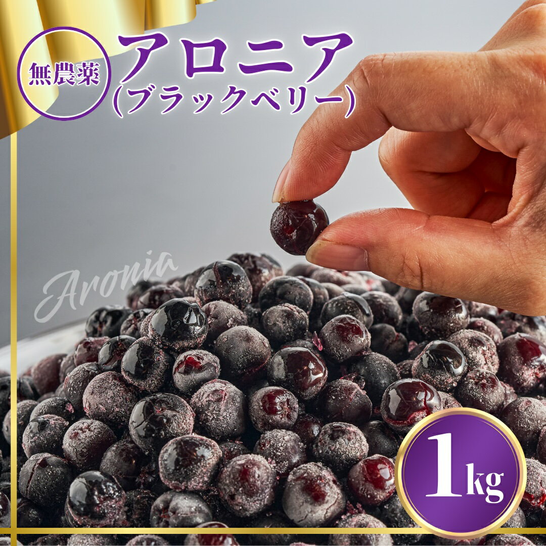 アロニア（ブラックベリー）1kg ベリー 果物 フルーツ ヨーグルト スイーツ おやつ 健康 栄養 スーパーフード お中元 お歳暮 ギフト 小松市 石川県 008051【JA小松市】