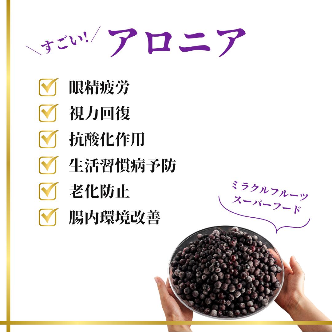 【ふるさと納税】アロニア（ブラックベリー）1kg ベリー 果物 フルーツ ヨーグルト スイーツ おやつ 健康 栄養 スーパーフード お中元 お歳暮 ギフト 小松市 石川県 008051【JA小松市】 サムネイル2