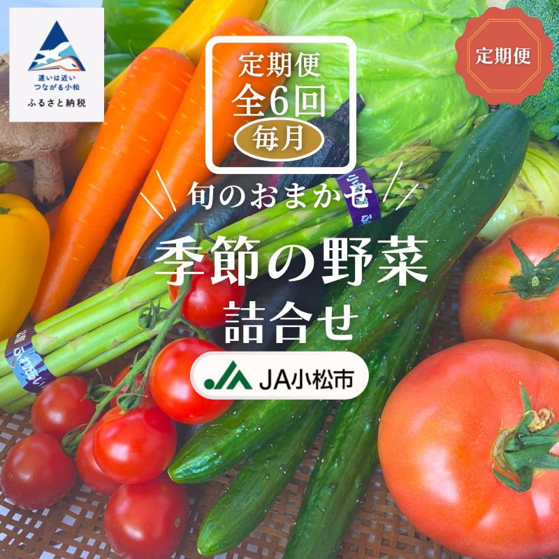 6ヵ月定期便（毎月） 季節の野菜詰合せ 【JA小松市】6回 旬 野菜詰め合わせ スムージー 小松市 石川県 060018