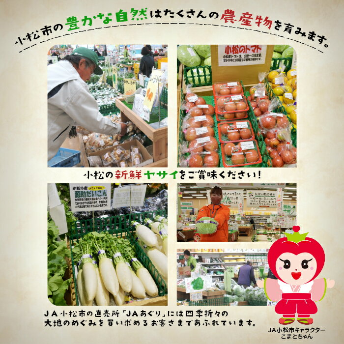 【ふるさと納税】《JA小松市（毎月） 定期便12ヶ月》季節の野菜詰合せ季節の野菜 定期便 定期 12回 旬 詰め合わせ スムージー 野菜 直送 おまかせ お中元 お歳暮 ギフト 小松市 石川県 120021【JA小松市】 - 画像3