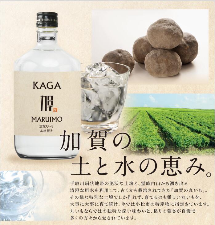 【ふるさと納税】《JA小松市》加賀丸いも焼酎25度 720ml 芋焼酎 酒 地酒 お取り寄せ お中元 お歳暮 父の日 ギフト 小松市 石川県 009046【JA小松市】 サムネイル3