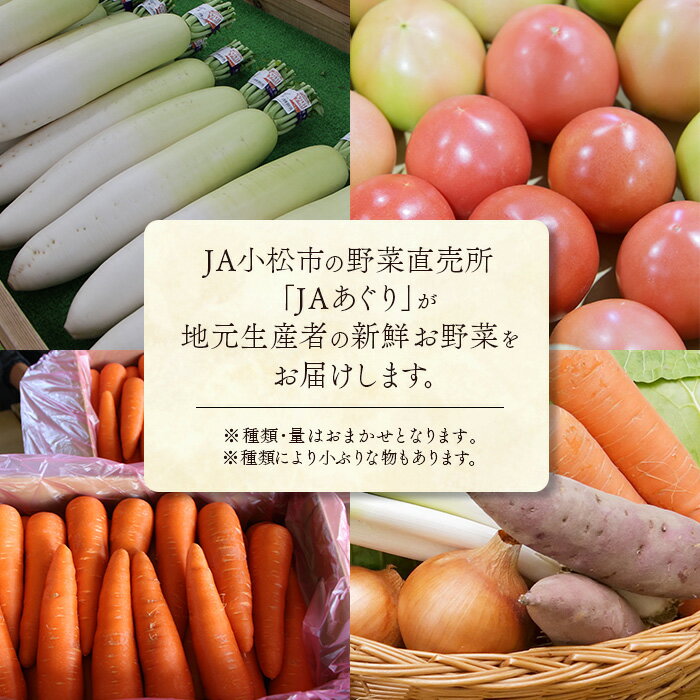 【ふるさと納税】《JA小松市（毎月） 定期便12ヶ月》季節の野菜詰合せ季節の野菜 定期便 定期 12回 旬 詰め合わせ スムージー 野菜 直送 おまかせ お中元 お歳暮 ギフト 小松市 石川県 120021【JA小松市】 - 画像2