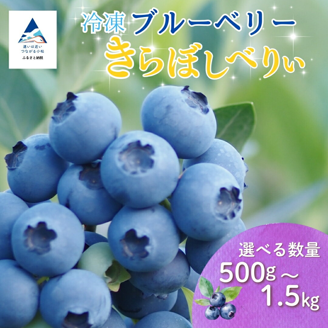 小松産ブルーベリー 冷凍 (選べる容量 500g/100g/1500g)ブルーベリー フルーツ 果物 小松市 こまつ 石川県 012122【きらぼしファーム】