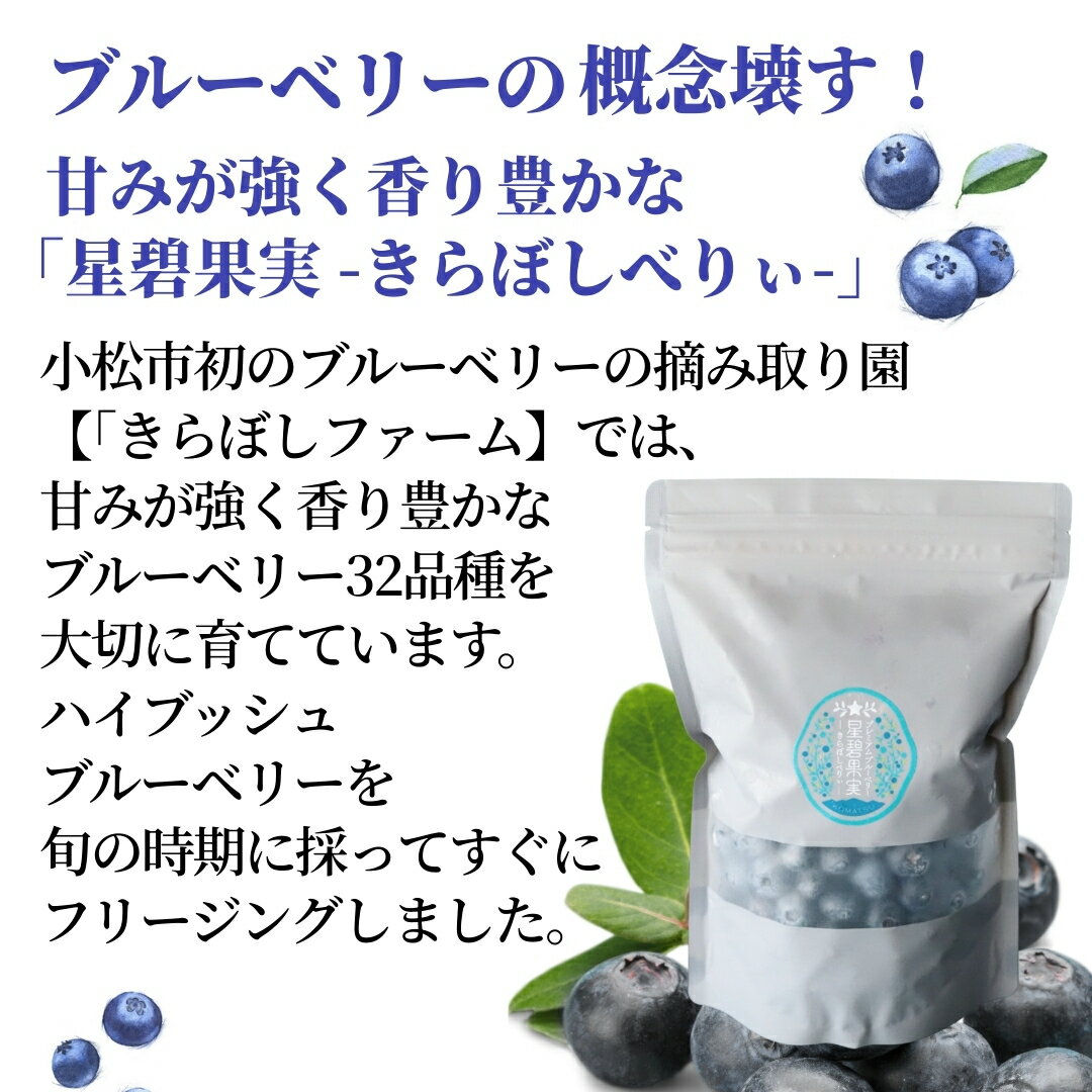 【ふるさと納税】 小松産ブルーベリー 冷凍 (選べる容量 500g/100g/1500g)ブルーベリー フルーツ 果物 小松市 こまつ 石川県 012122【きらぼしファーム】 サムネイル2