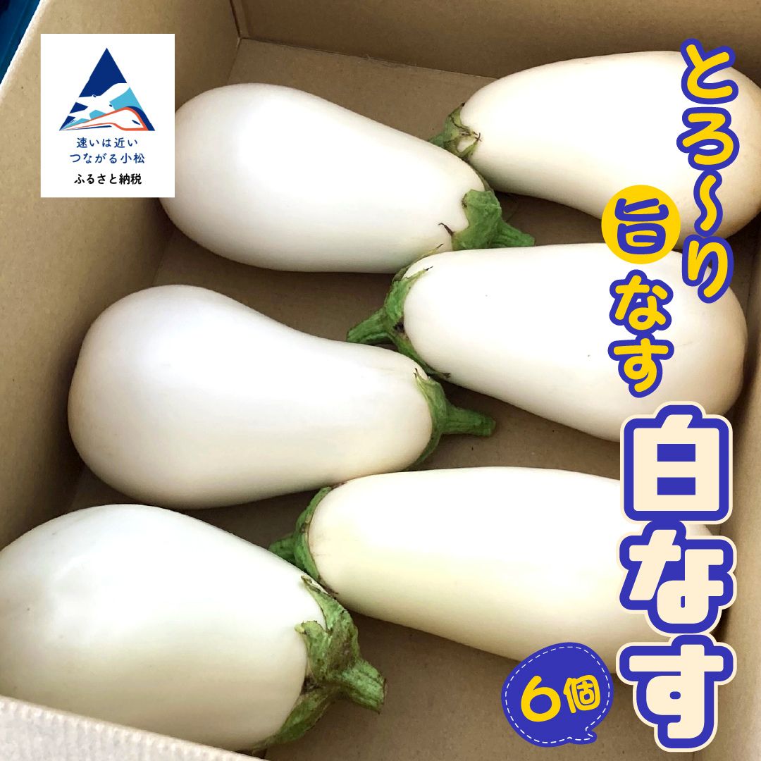 【先行予約】 季節限定 のうちゃんファームの白なす 野菜 茄子 白茄子 季節限定 ギフト 小松市 石川県 ふるさと 納税 007041【のうちゃんファーム】
