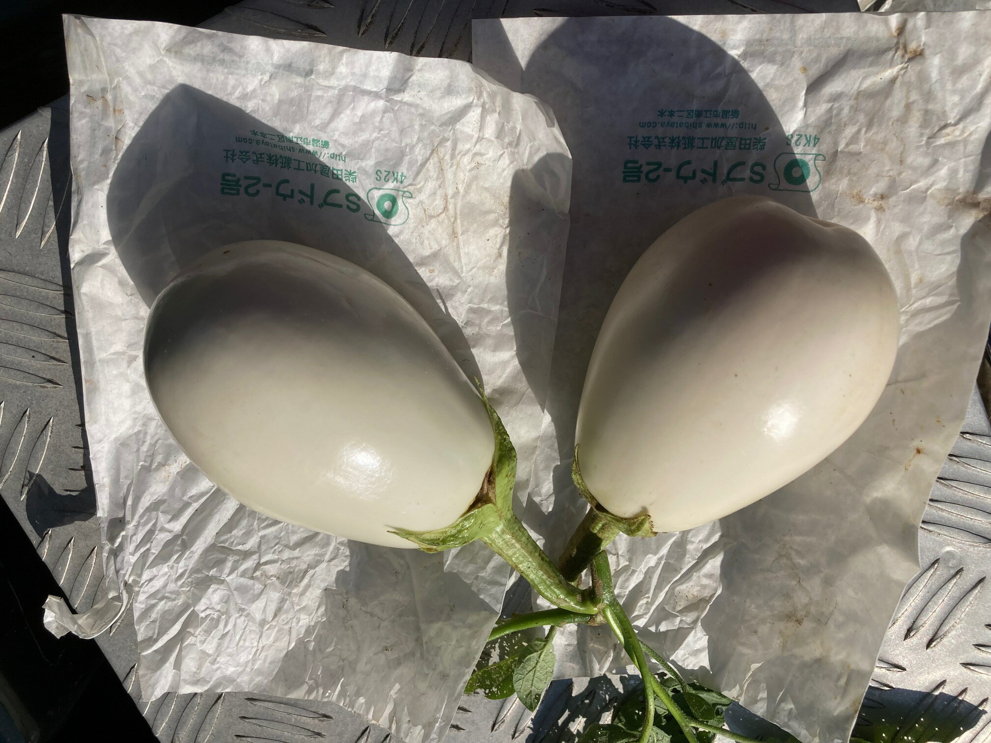 【ふるさと納税】【先行予約】 季節限定 のうちゃんファームの白なす 野菜 茄子 白茄子 季節限定 ギフト 小松市 石川県 ふるさと 納税 007041【のうちゃんファーム】 - 画像3