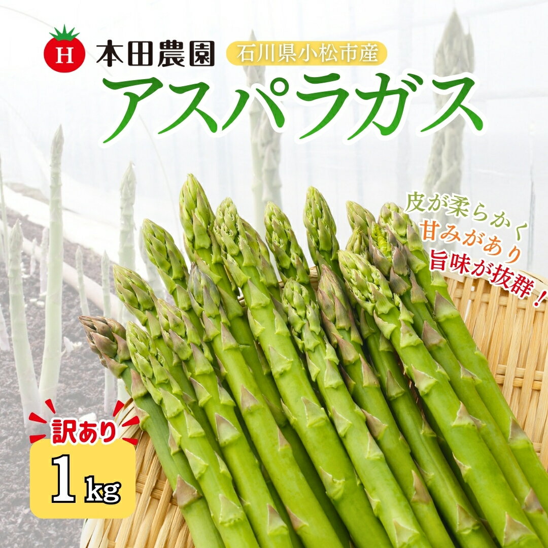 【先行予約】アスパラガス 1kg（訳アリ） 本田農園 野菜 訳あり ギフト アスパラ 石川県 小松市 010288【本田農園】