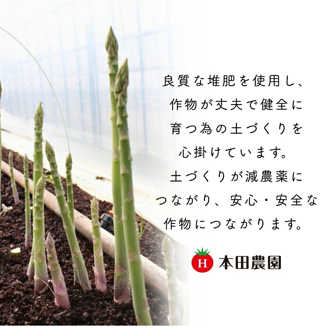 【ふるさと納税】【先行予約】アスパラガス 1kg（訳アリ） 本田農園 野菜 訳あり ギフト アスパラ 石川県 小松市 010288【本田農園】 - 画像2