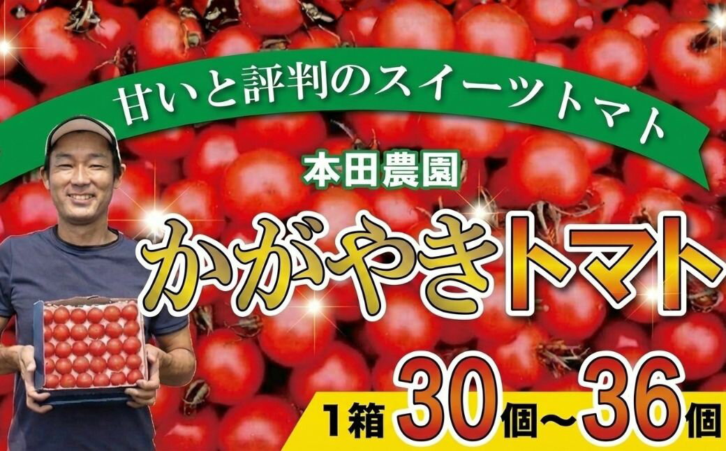 【ふるさと納税】【2026年 先行予約】 本田農園のかがやきトマト 1箱 ( 約30個～36個 ) トマト とまと 完熟トマト 完熟 トマト箱 トマトBOX トマトジュース 本田農園 お中元 お歳暮 ギフト 小松市 石川県 008083【本田農園】 - 画像2