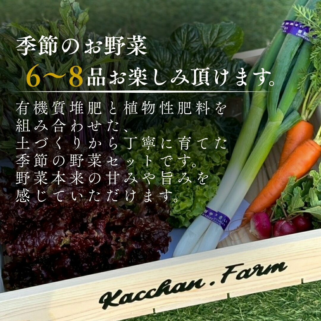 【ふるさと納税】【定期便3ヶ月】季節の野菜詰め合わせ Aセット 野菜食べ比べ 旬の野菜 野菜セット定期便 | 石川県 小松市【Kacchan.Farm】042008 - 画像2