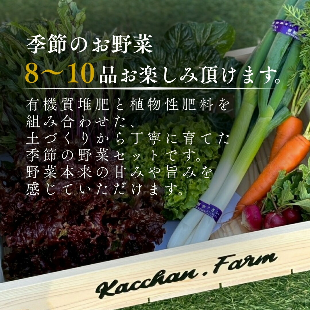 【ふるさと納税】【定期便3ヶ月】季節の野菜詰め合わせ Bセット 野菜食べ比べ 旬の野菜 野菜セット 定期便 | 石川県 小松市【Kacchan.Farm】068003 - 画像2