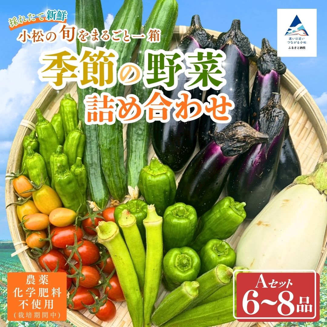 季節の野菜詰め合わせ Aセット 野菜食べ比べ 旬の野菜 野菜セット | 石川県 小松市【Kacchan.Farm】 014079
