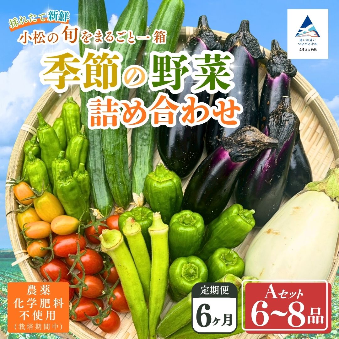 【定期便6ヶ月】季節の野菜詰め合わせ Aセット 野菜食べ比べ 旬の野菜 野菜セット定期便 | 石川県 小松市 【Kacchan.Farm】082001