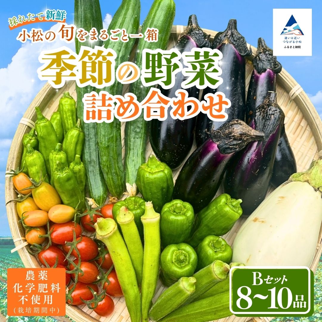 季節の野菜詰め合わせ Bセット 野菜食べ比べ 旬の野菜 野菜セット | 石川県 小松市【Kacchan.Farm】023016