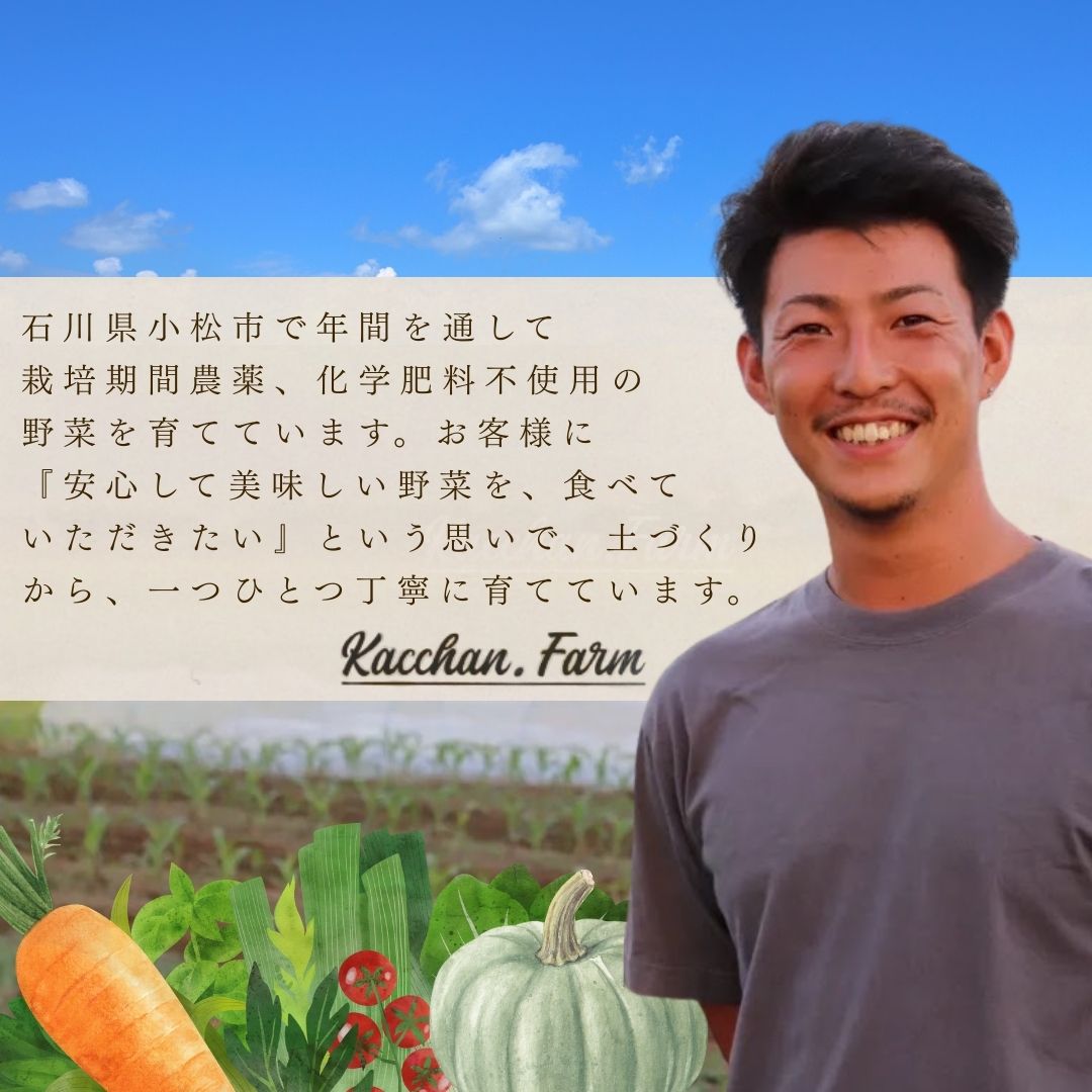 【ふるさと納税】【定期便3ヶ月】季節の野菜詰め合わせ Bセット 野菜食べ比べ 旬の野菜 野菜セット 定期便 | 石川県 小松市【Kacchan.Farm】068003 - 画像3