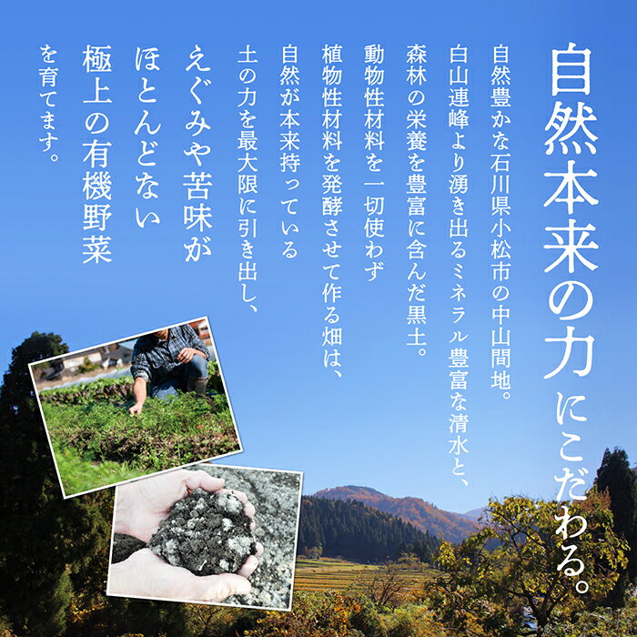 【ふるさと納税】 季節の有機野菜詰合せ 《 定期便 3ヶ月 》 野菜セット 季節の野菜 有機野菜 野菜 セット 詰め合わせ おまかせ 定期 3ヵ月 3回 お中元 お歳暮 ギフト 小松市 石川県 030071【西田農園】 サムネイル3
