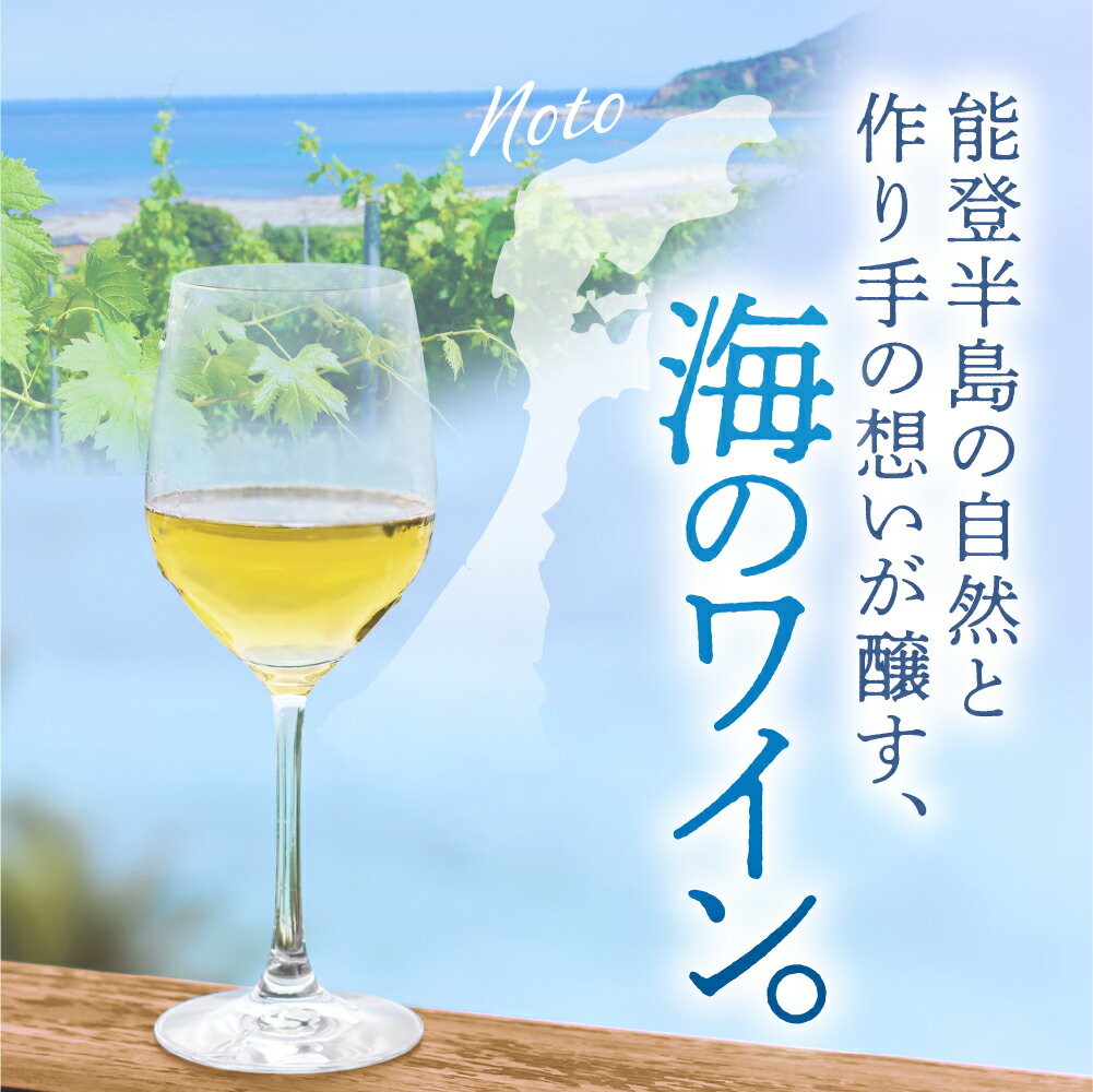 【ふるさと納税】【能登半島地震復興支援】禅の里わいん（白ワイン、フルボトル750ml） サムネイル2