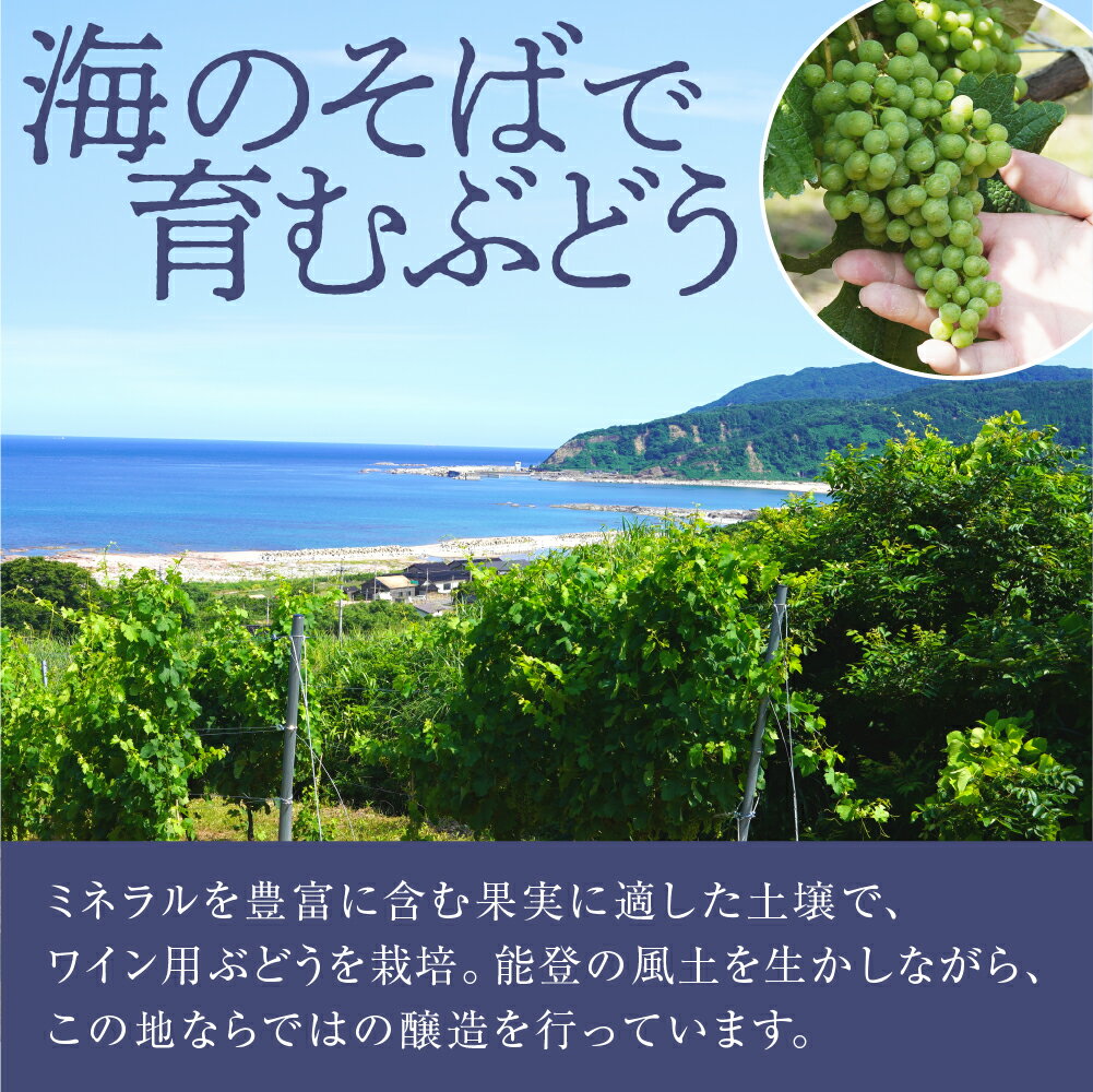 【ふるさと納税】【能登半島地震復興支援】禅の里わいん（白ワイン、フルボトル750ml） サムネイル3