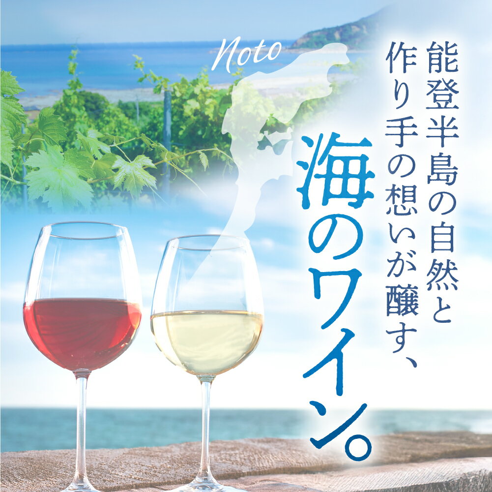 【ふるさと納税】【能登半島地震復興支援】禅の里わいんセット 赤 白 各1本 フルボトル ( 750ml 2本 )| ワイン 赤ワイン 白ワイン 赤白ワイン 2本詰め合わせ 酒 お酒 アルコール 人気 厳選 父の日 母の日 プレゼント ギフト お取り寄せ 送料無料 国産 能登 石川県 輪島市 サムネイル2