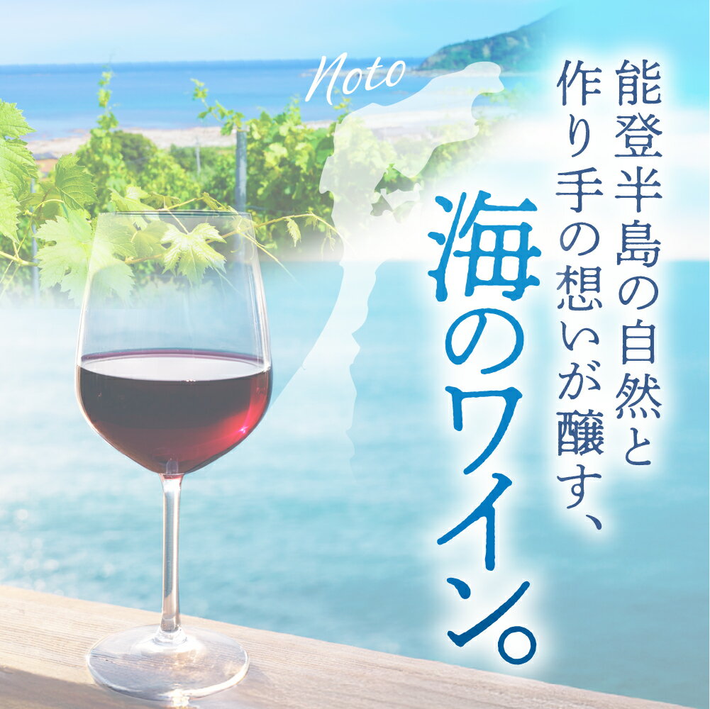 【ふるさと納税】【能登半島地震復興支援】禅の里わいん（赤ワイン、フルボトル750ml） サムネイル2