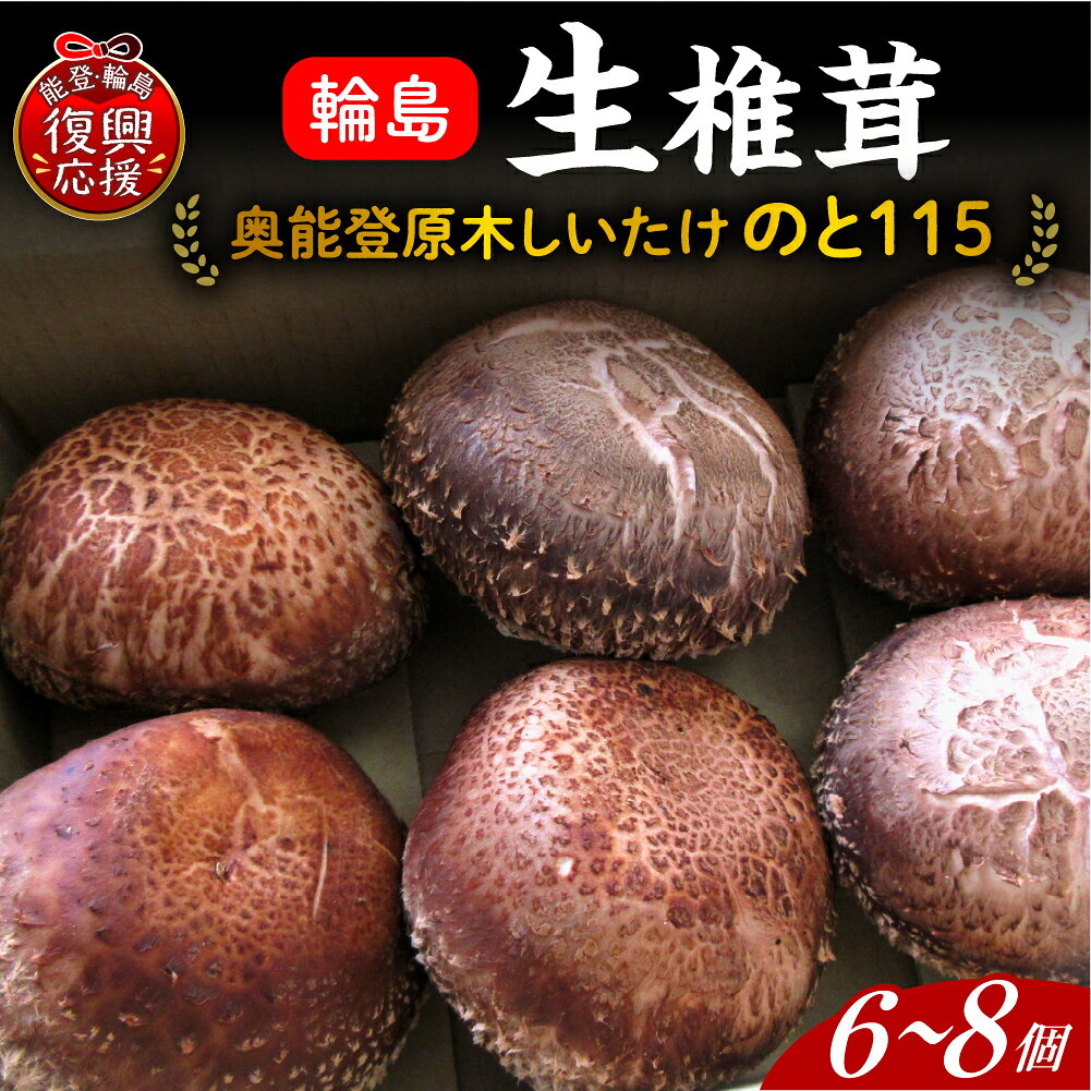 原木生しいたけ（のと115）| 国産 原木 しいたけ 生しいたけ 椎茸 シイタケ のと115 野菜 ブランド きのこ キノコ 能登 石川県 輪島市