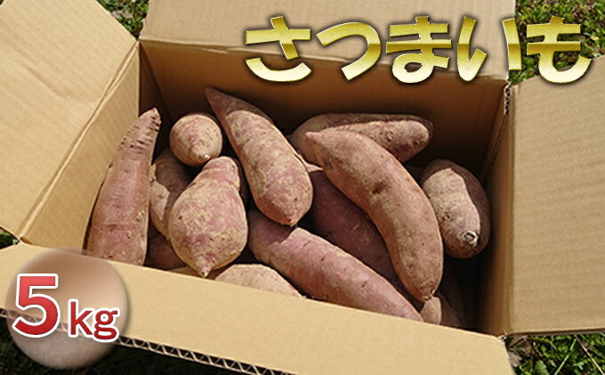 【ふるさと納税】さつまいも 5kg 野菜 サツマイモ 石川県産 　お届け：毎年1月～4月末 - 画像2