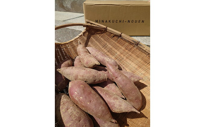 【ふるさと納税】さつまいも 5kg 野菜 サツマイモ 石川県産 　お届け：毎年1月～4月末 - 画像3