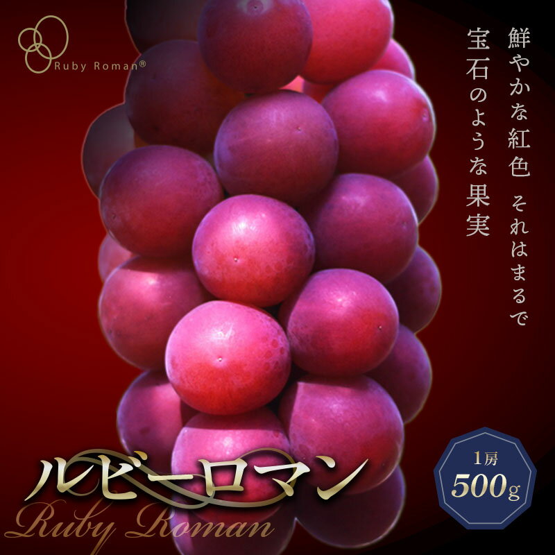 【先行予約】 ルビーロマン 1房 500g （2026年8月中旬〜9月上旬頃順次発送） ぶどう ブドウ 大粒 先行予約 予約 冷蔵配送 くだもの 果物 フルーツ ご当地 食品 F6P-2104