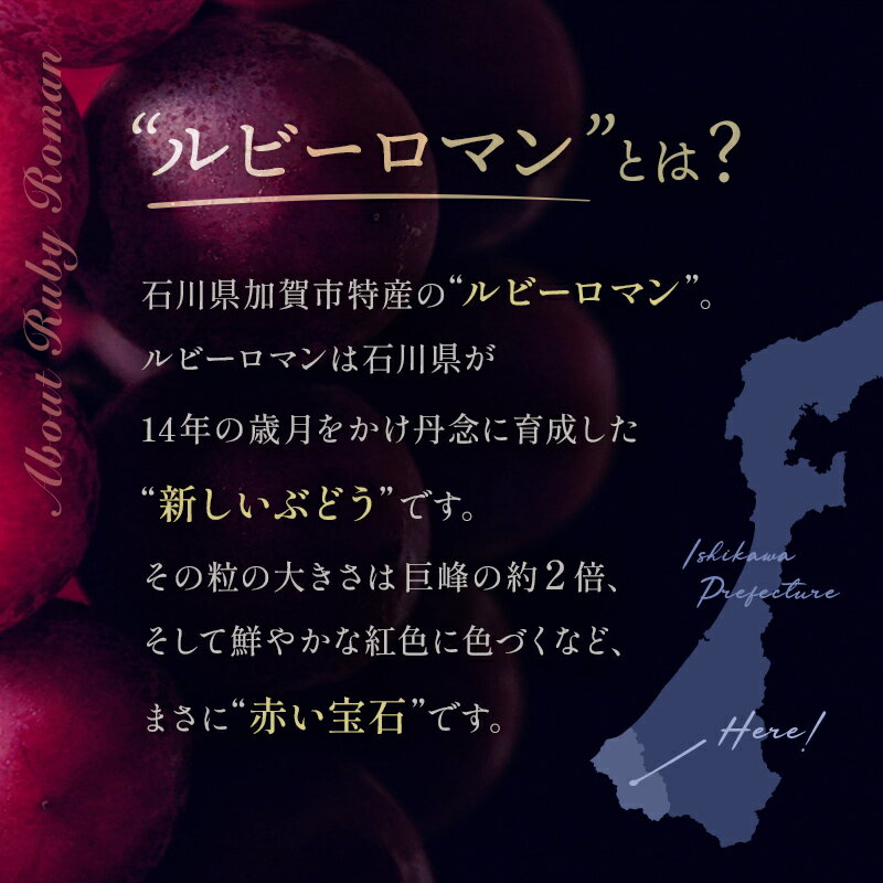 【ふるさと納税】 【先行予約】 ルビーロマン 1房 500g （2026年8月中旬〜9月上旬頃順次発送） ぶどう ブドウ 大粒 先行予約 予約 冷蔵配送 くだもの 果物 フルーツ ご当地 食品 F6P-2104 - 画像2